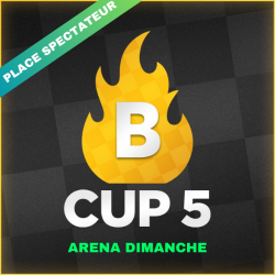 Place Spectateur : Dimanche [B-CUP 5]