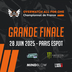 Grande finale du Championnat de France d'Overwatch All For One (2025)