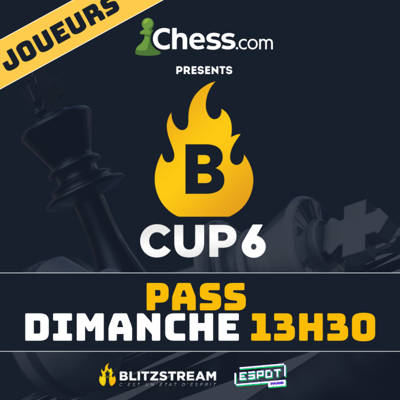 Pass joueur : Dimanche - 13H30 [B-CUP 6]