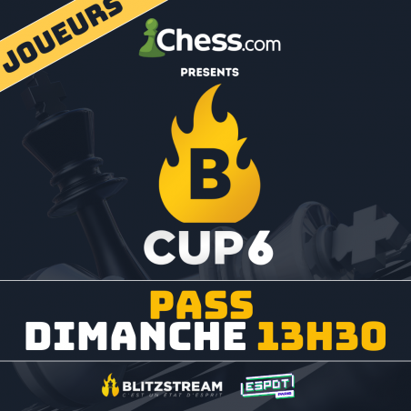 Pass joueur : Dimanche - 13H30 [B-CUP 6]