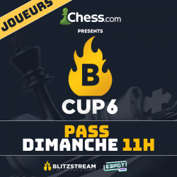 Pass joueur : Dimanche -...