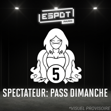 copy of Entrée spectateur : Rise to Supremacy 4 [PASS DIMANCHE]
